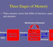 Image result for Full Diagram of Memory
