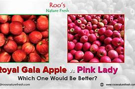 Image result for Royal Gala V Pink Lady Apple