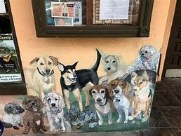 Image result for Dog Wall Covering