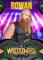 Image result for iPhone 10 Case WWE