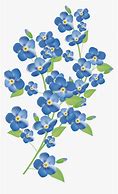 Image result for Forget Me Nots Clear Background