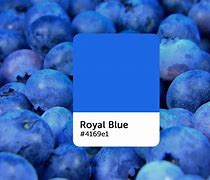 Image result for Royal Blue BG