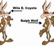 Image result for Coyote Cartoon Boxing