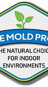 Image result for Mold Remediation Company Logo