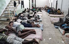 Image result for A Human Migrants