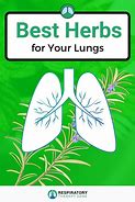 Image result for Herbs for Pneumonia