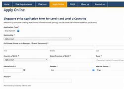 Image result for Visa Apply Online
