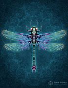 Image result for Cricket Insect Art