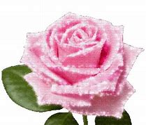 Image result for Animated Pink Rose