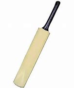 Image result for Plain Cricket Bat