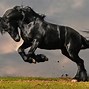 Image result for Horse Desktop Backgrounds