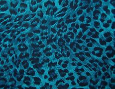 Image result for Teal Cheetah Print