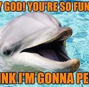 Image result for Dolphin Juice Meme