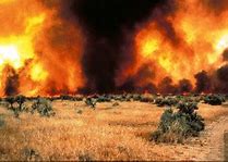 Image result for Wildfire Wallpaper