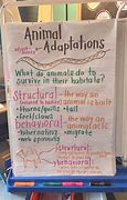 Image result for Animal Adaptations Images for Print