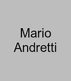 Image result for Mario Andretti Stock Car