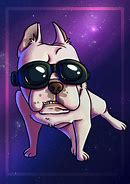 Image result for Galaxy Dog Pics