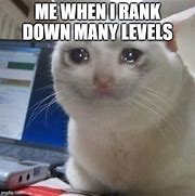 Image result for Sad Gamer Cat Meme