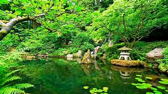 Image result for Japanese Pond