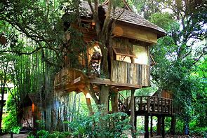 Image result for Giant Tree House Chiang Mai
