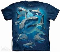 Image result for Great White Shark Tee