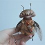 Image result for Cicada Plush
