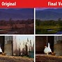 Image result for Color Corrected Lens
