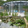 Image result for Future Garden with Pool
