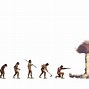 Image result for Evolution Monkey to Man