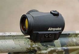 Image result for Aimpoint Micro S1