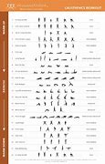Image result for Military Calisthenics Workout