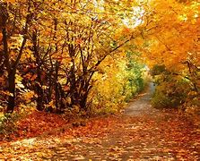 Image result for acantoc�fall