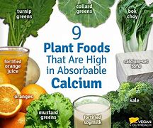 Image result for Vegan Calcium Sources