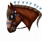 Image result for Shire Horse Head