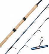 Image result for Float Fishing Rods