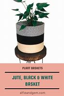 Image result for Black and White Plant Basket