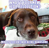 Image result for New Year Resolution Meme