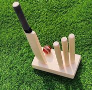Image result for Cricket Stuff for Kids