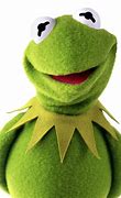 Image result for Kermit Frog Face