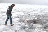 Image result for Bodies Found in Glacier