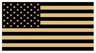 Image result for Desert Tan American Flag iPhone