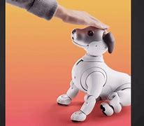 Image result for Aibo Jump