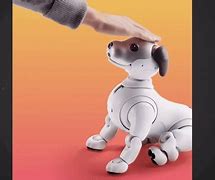 Image result for Aibo 220
