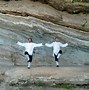 Image result for Wu Tai Chi Philosphy