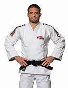 Image result for Judo Fighting Stance