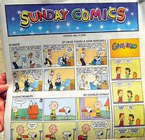 Image result for Free Sunday Comics Strips