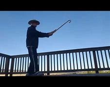 Image result for Amin Wu Tai Chi Cane 36 Form