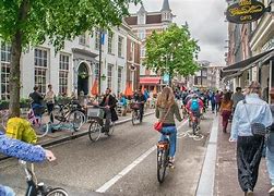 Image result for Amsterdam Netherlands People