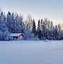 Image result for Winter Snow Background