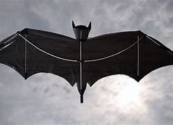 Image result for Bat Kite